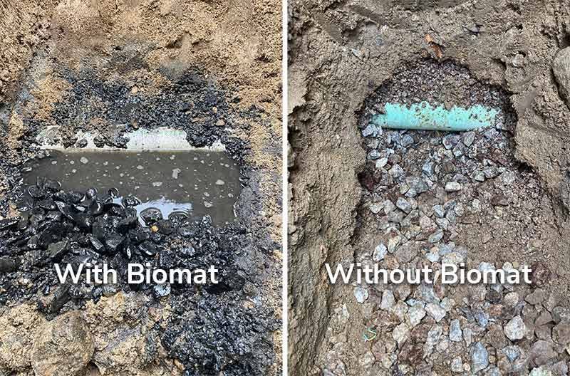 Septic-System-Biomat-Comparison