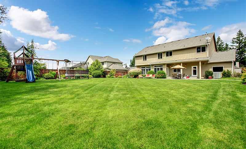 find-a-septic-tank-lid-on-a-big-lawn